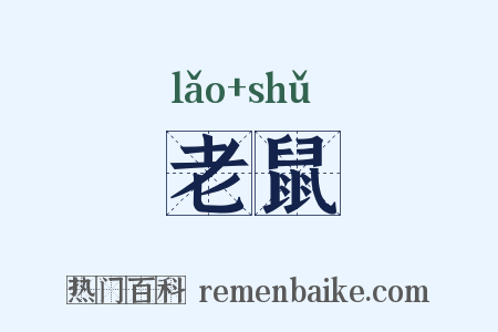 老鼠是什么意思的图片